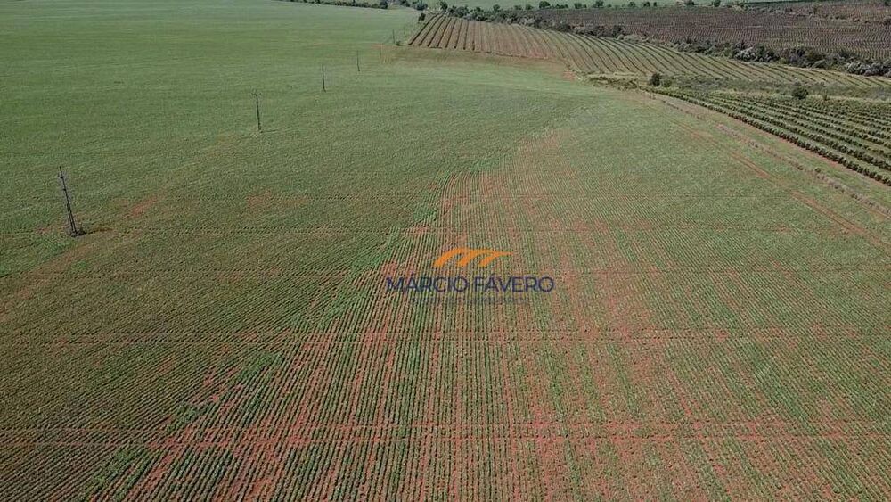 Fazenda, 121 hectares - Foto 12