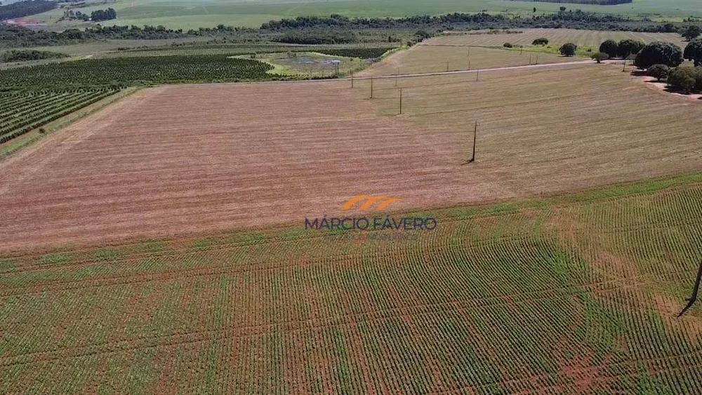 Fazenda, 121 hectares - Foto 14