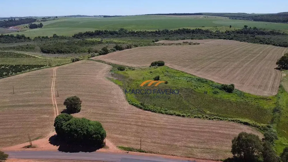 Fazenda, 121 hectares - Foto 2