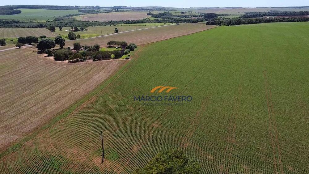 Fazenda, 121 hectares - Foto 15
