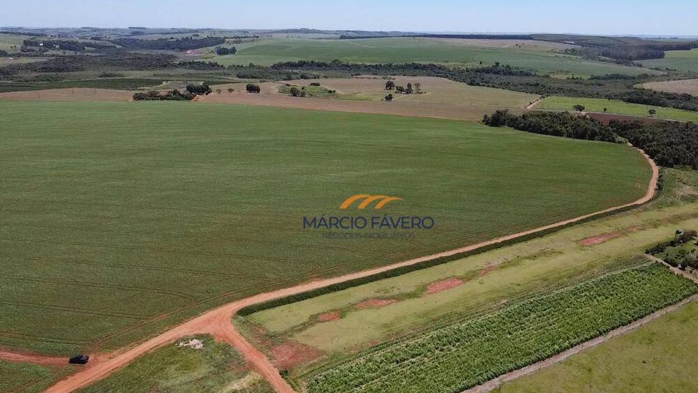 Fazenda, 121 hectares - Foto 10