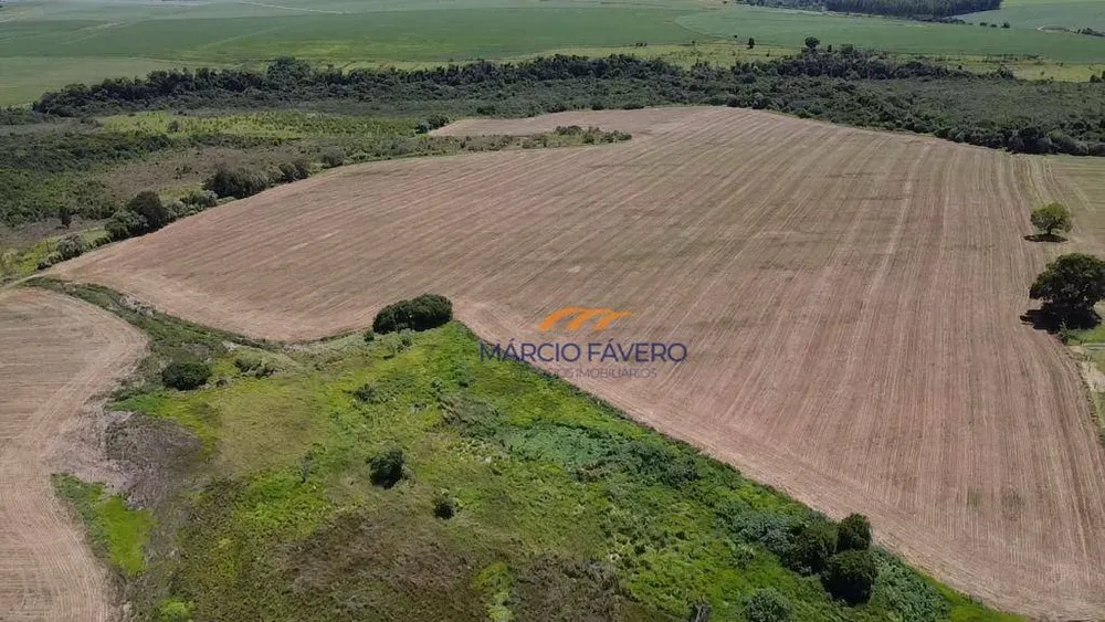 Fazenda, 121 hectares - Foto 8