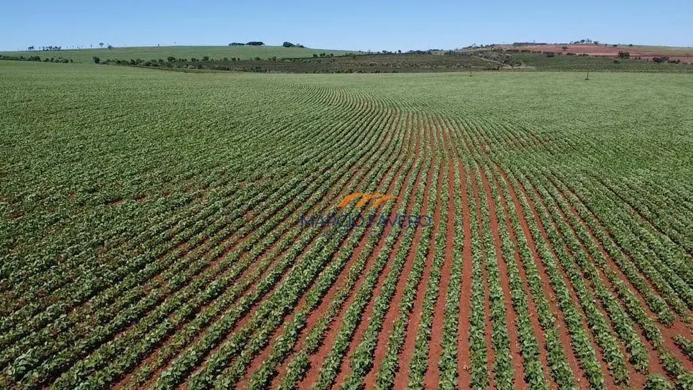 Fazenda, 121 hectares - Foto 3