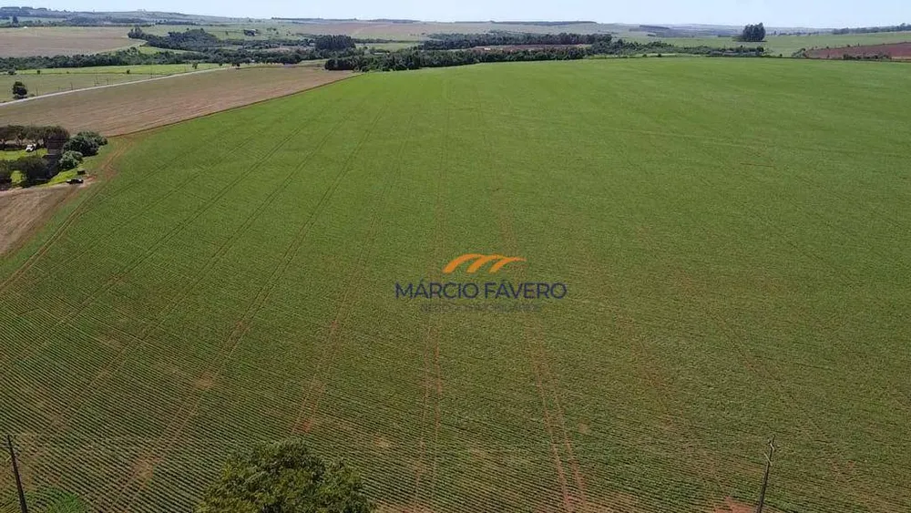 Fazenda, 121 hectares - Foto 4