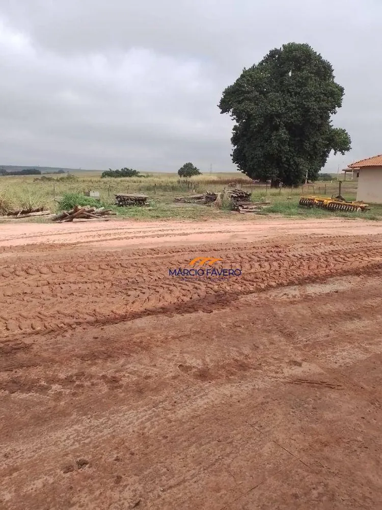 Fazenda, 1099 hectares - Foto 3