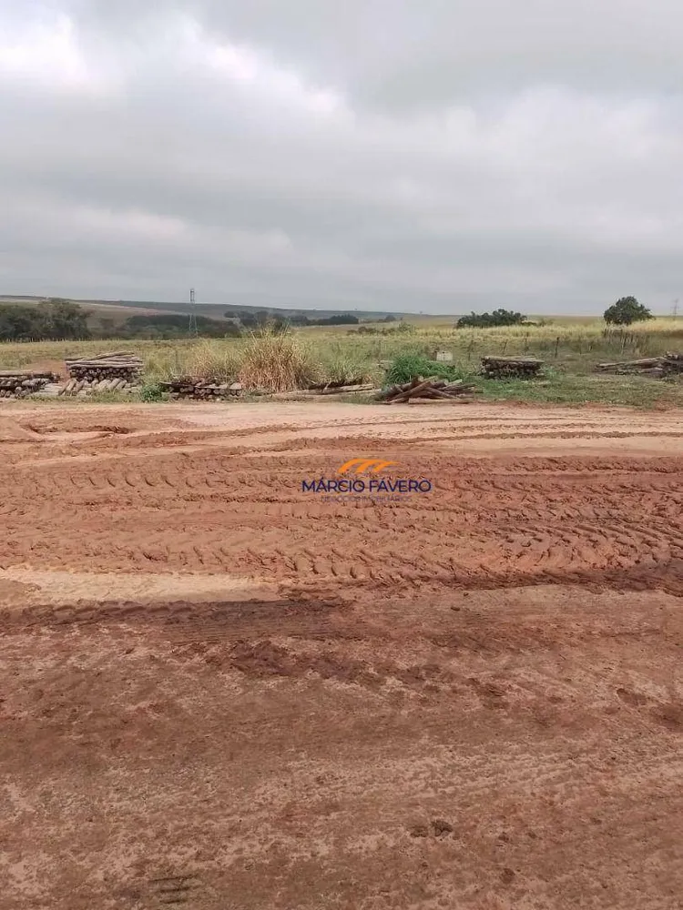 Fazenda, 1099 hectares - Foto 4