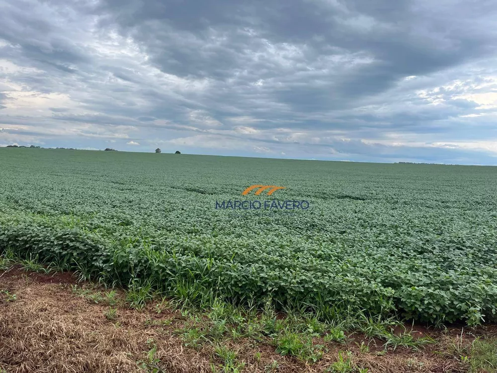 Fazenda, 339 hectares - Foto 7