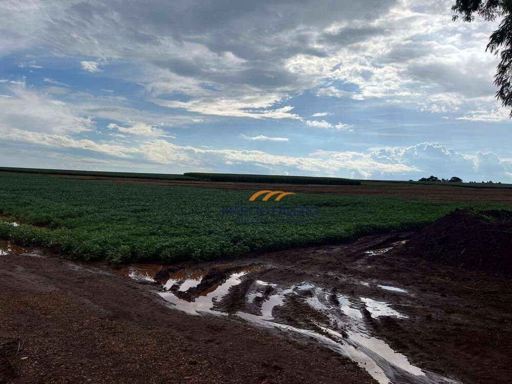 Fazenda, 339 hectares - Foto 6