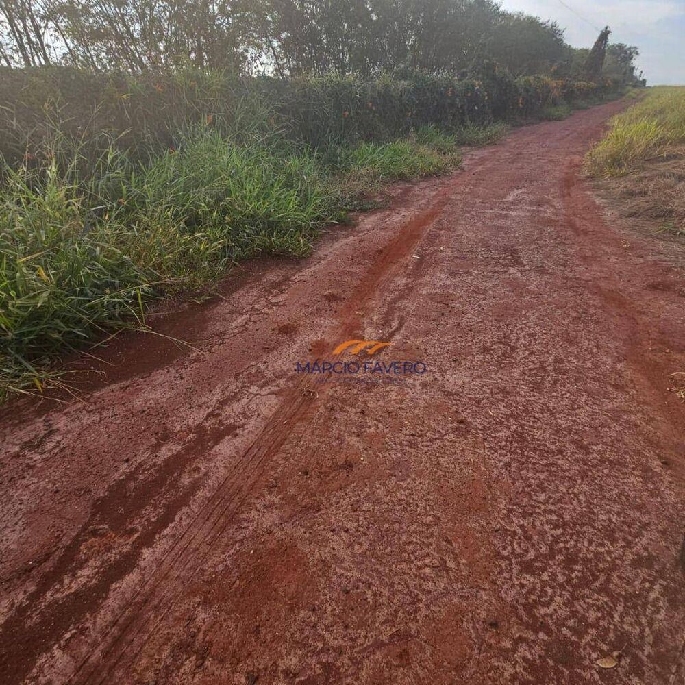 Fazenda, 339 hectares - Foto 5