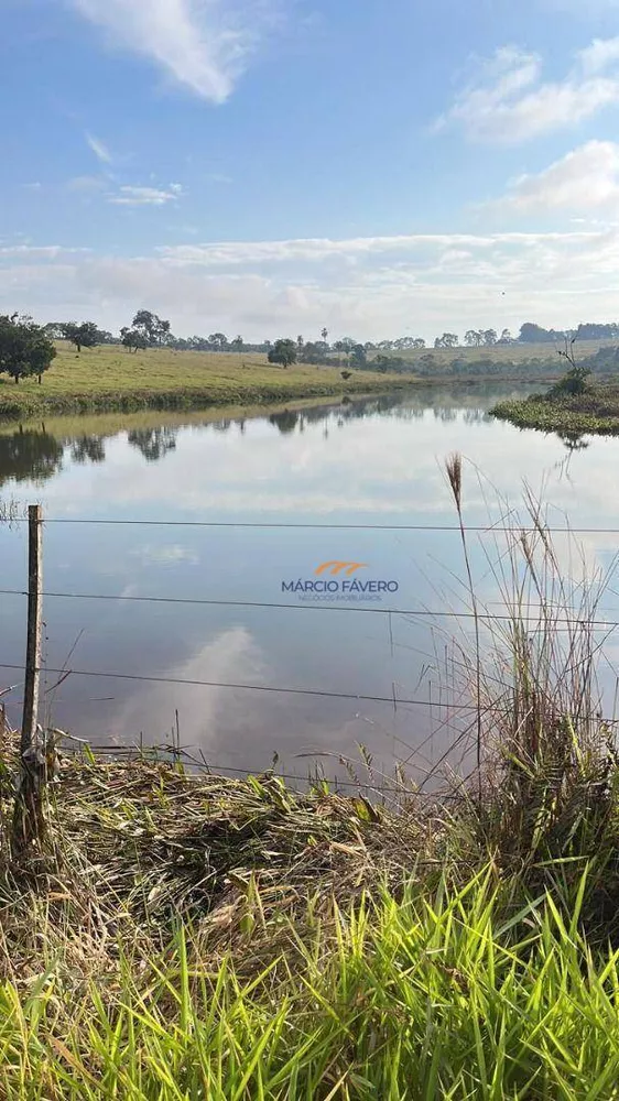 Fazenda, 339 hectares - Foto 4