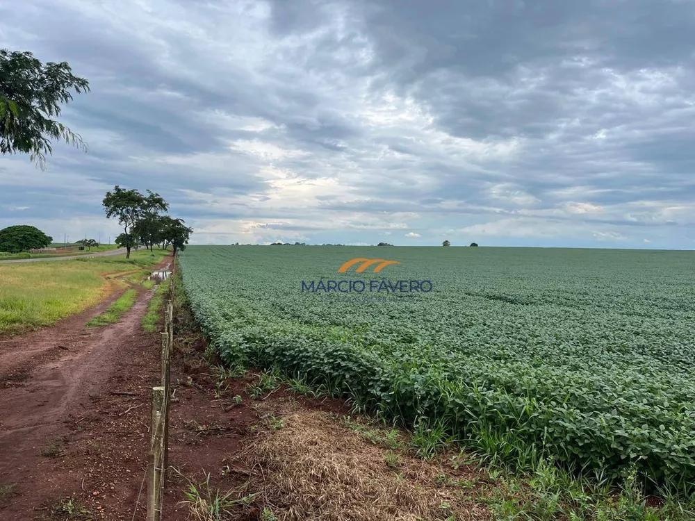 Fazenda, 339 hectares - Foto 1