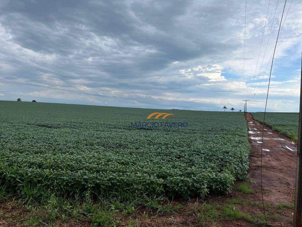 Fazenda, 339 hectares - Foto 2