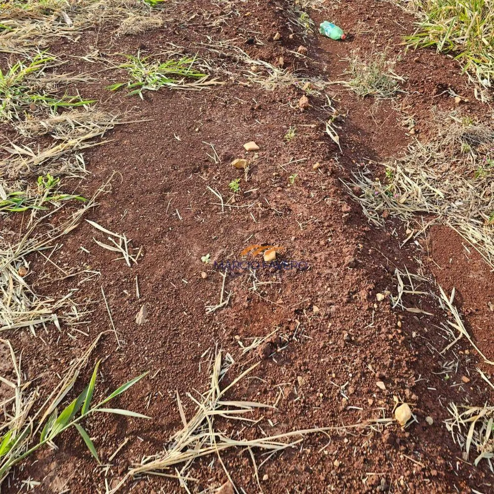 Fazenda, 339 hectares - Foto 8