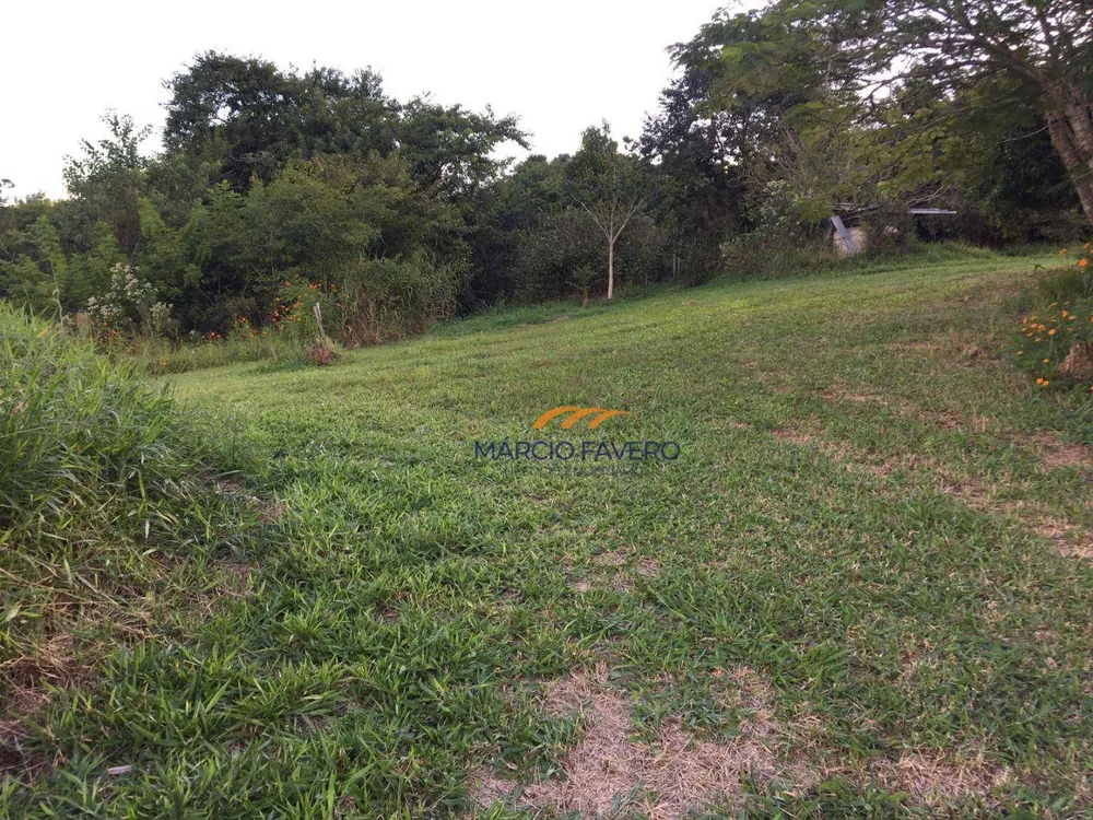 Sítio, 5 hectares - Foto 4