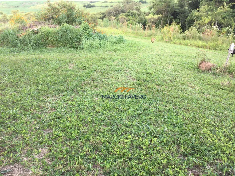 Sítio, 5 hectares - Foto 9