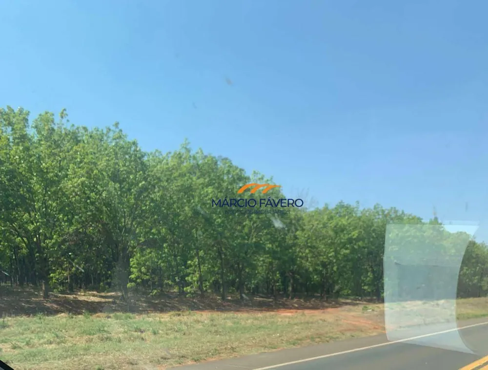 Fazenda, 206 hectares - Foto 1
