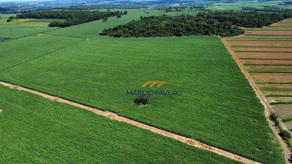 Sítio, 79 hectares - Foto 2