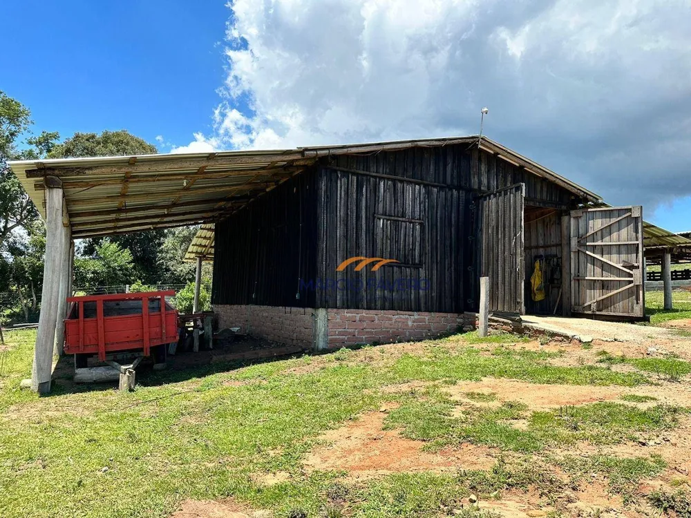 Fazenda, 107 hectares - Foto 3