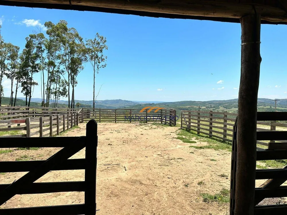 Fazenda, 107 hectares - Foto 7
