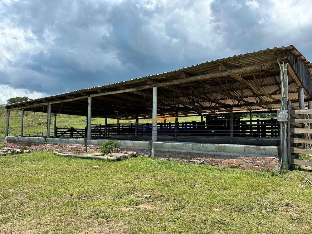 Fazenda, 107 hectares - Foto 4