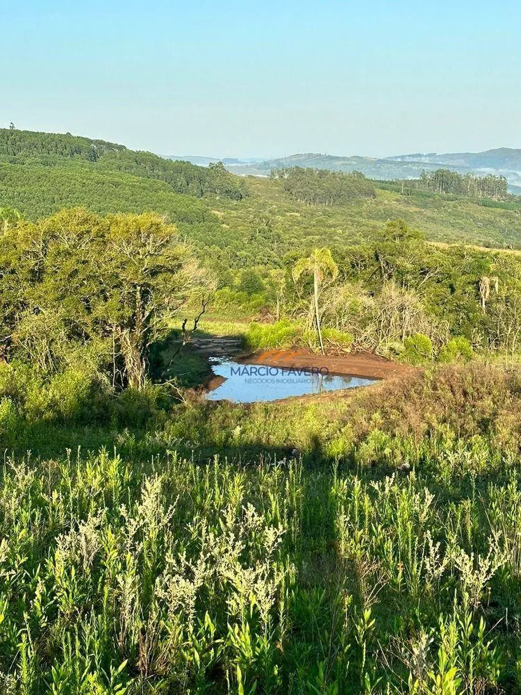 Fazenda, 107 hectares - Foto 11