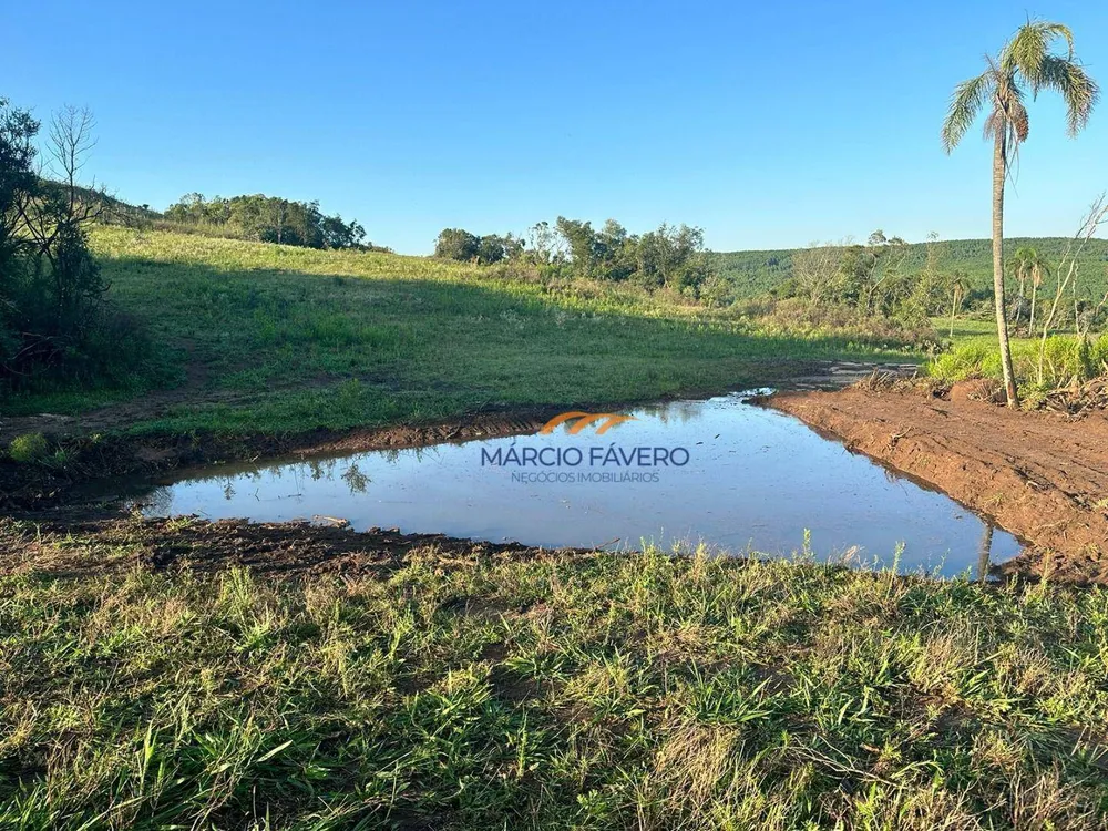 Fazenda, 107 hectares - Foto 10