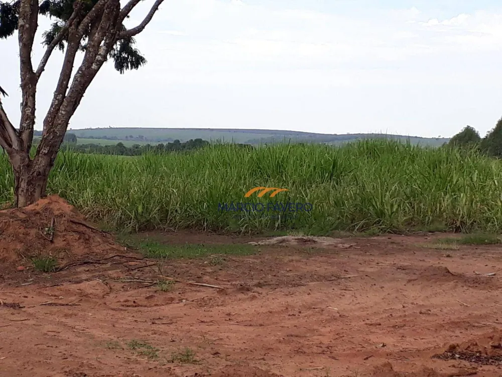 Fazenda, 292 hectares - Foto 5