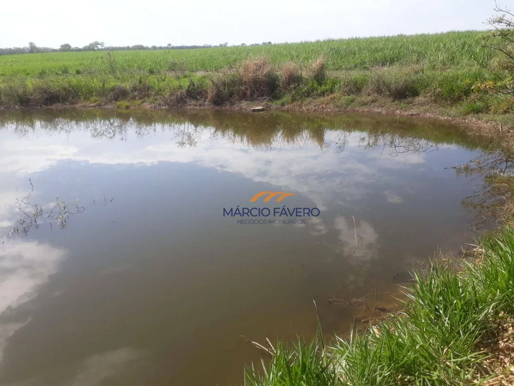 Fazenda, 292 hectares - Foto 4