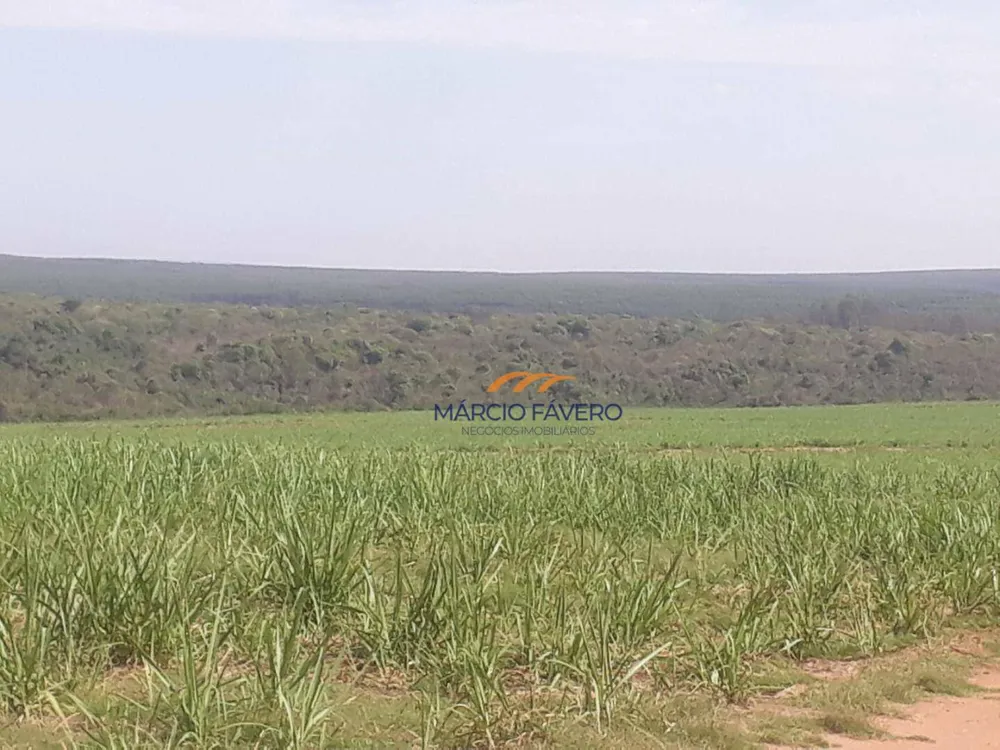 Fazenda, 292 hectares - Foto 1