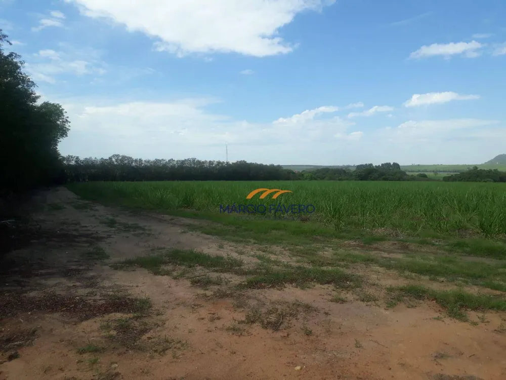Fazenda, 292 hectares - Foto 7
