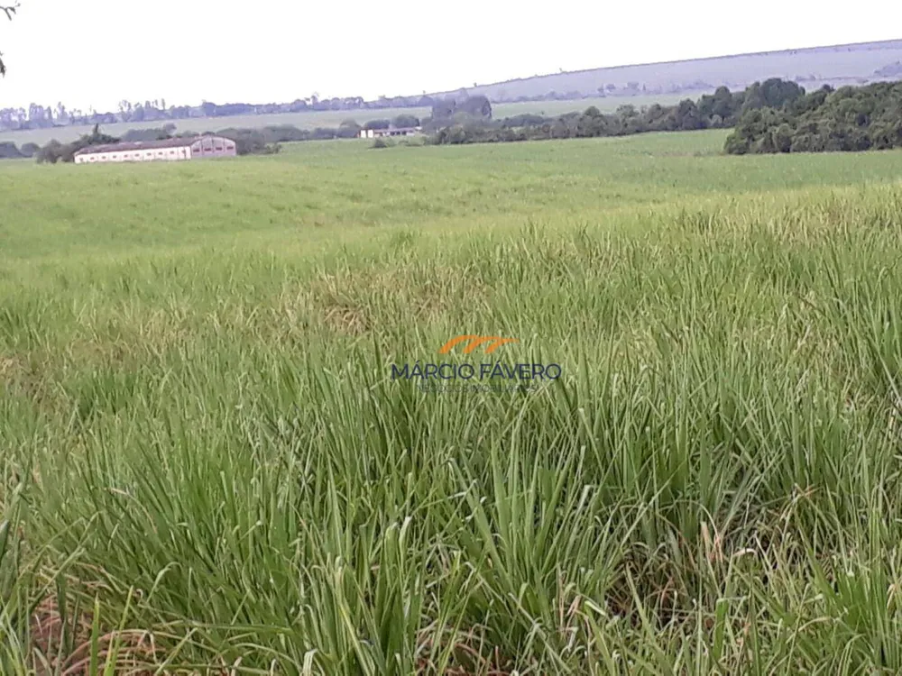 Fazenda, 292 hectares - Foto 2