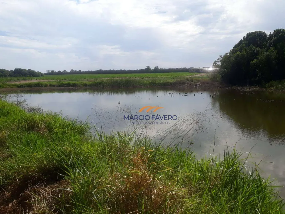 Fazenda, 292 hectares - Foto 1