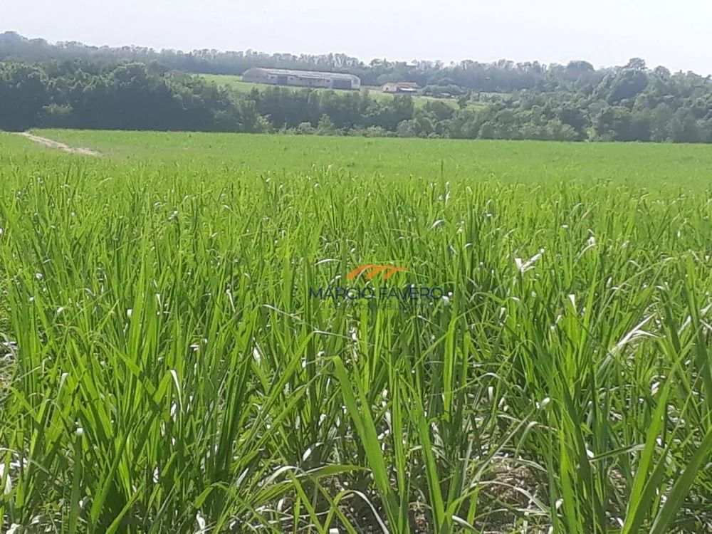 Fazenda, 292 hectares - Foto 12