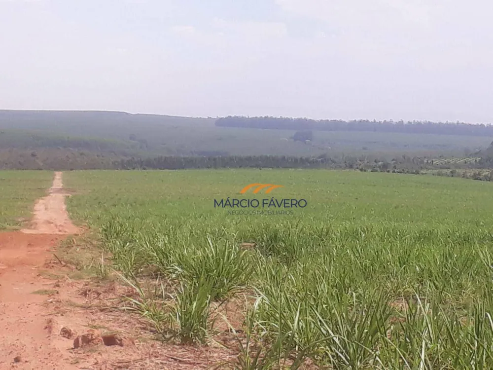 Fazenda, 292 hectares - Foto 3