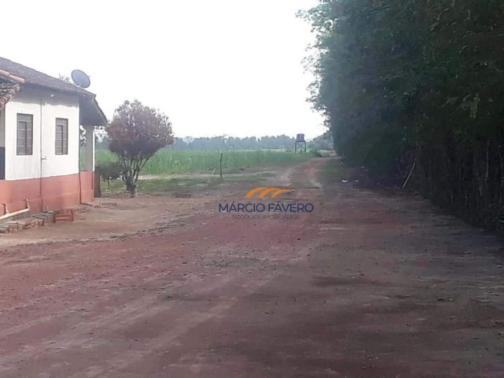 Fazenda, 292 hectares - Foto 8