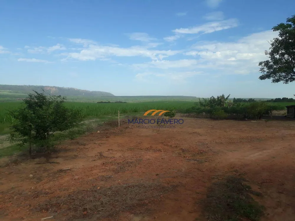 Fazenda, 292 hectares - Foto 7