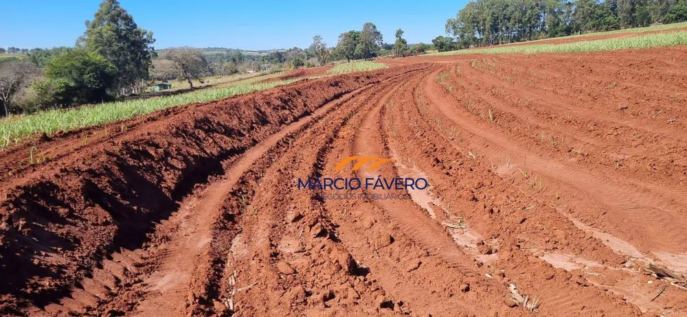 Sítio, 23 hectares - Foto 6