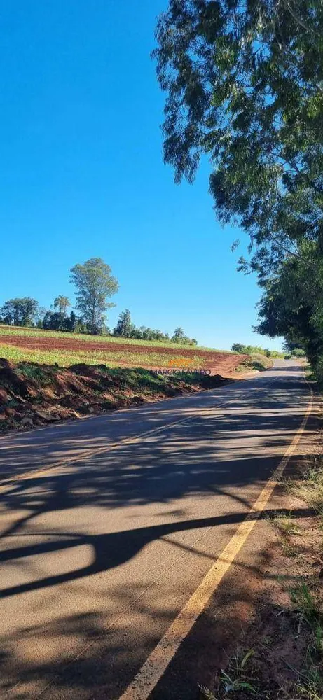 Sítio, 23 hectares - Foto 7