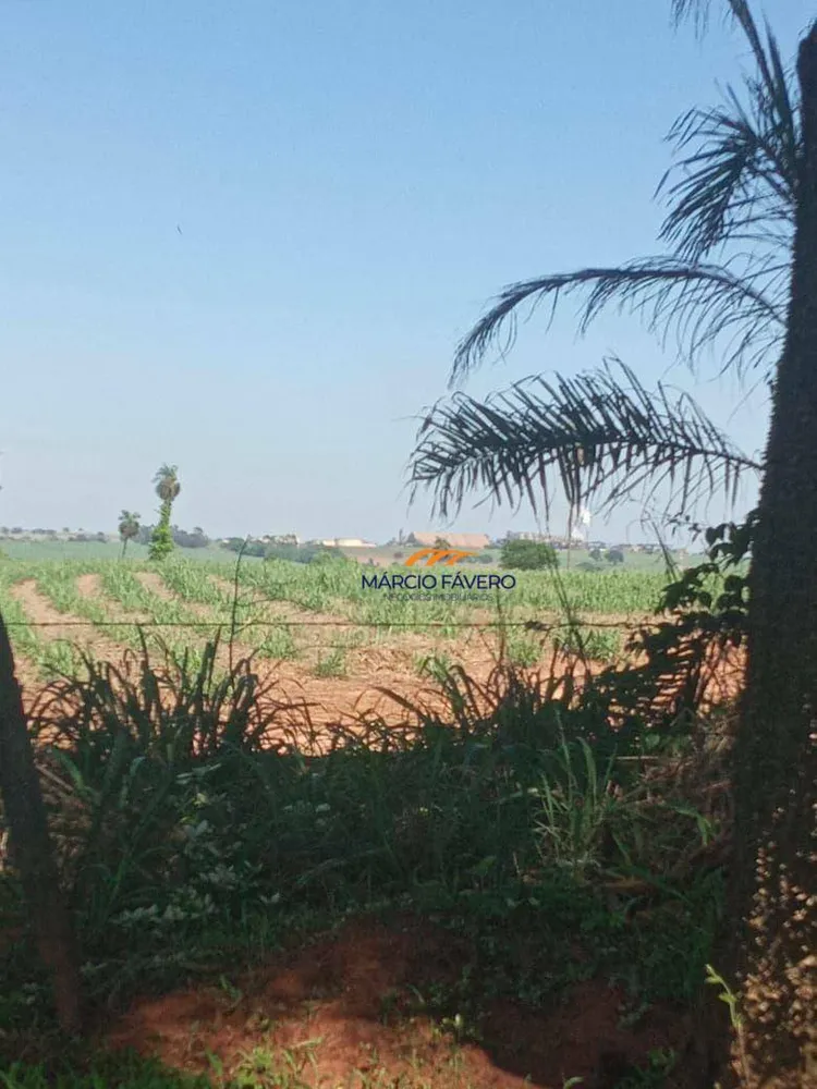 Fazenda, 385 hectares - Foto 6
