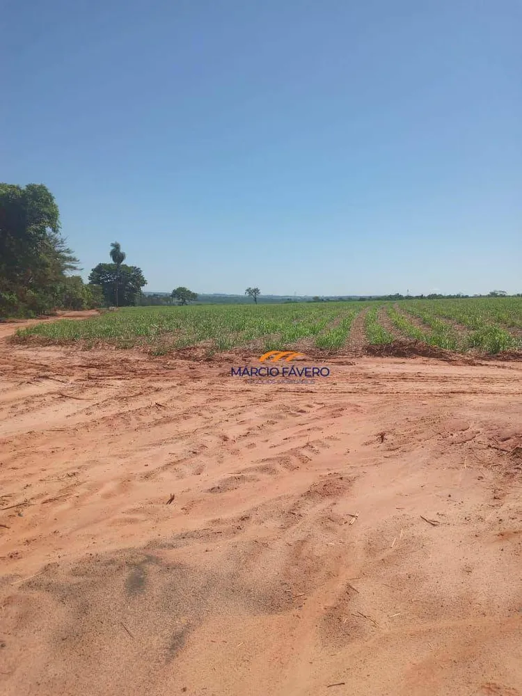 Fazenda, 385 hectares - Foto 8