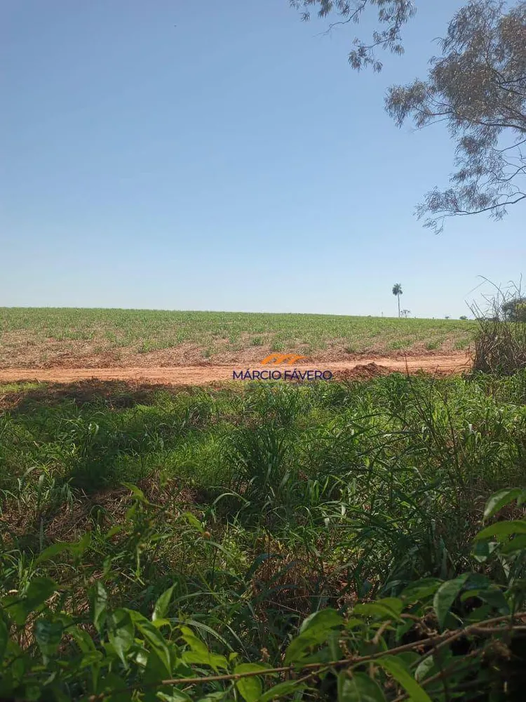 Fazenda, 385 hectares - Foto 6