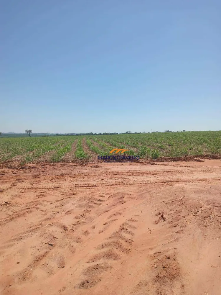 Fazenda, 385 hectares - Foto 5