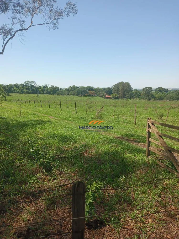 Fazenda, 385 hectares - Foto 5