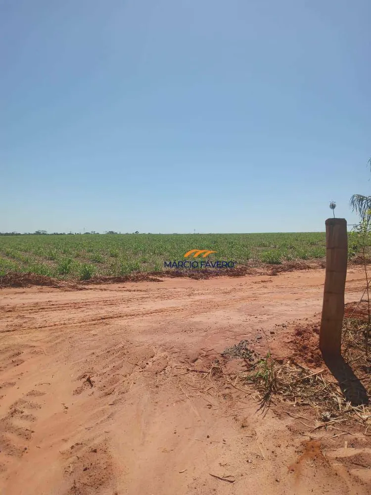 Fazenda, 385 hectares - Foto 7