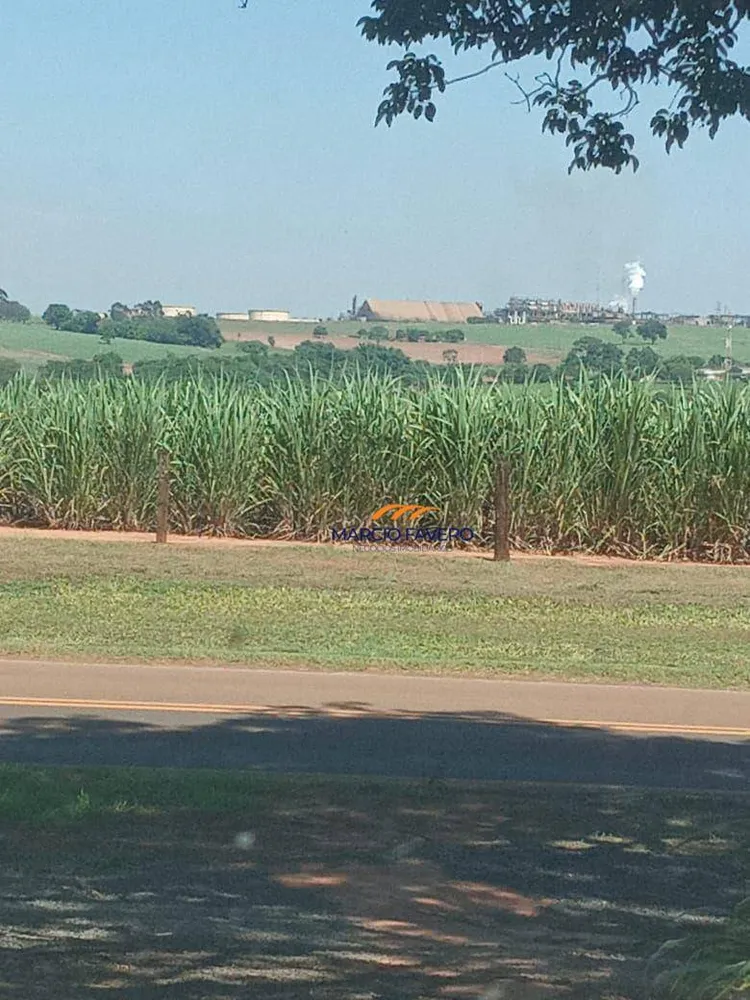 Fazenda, 385 hectares - Foto 4