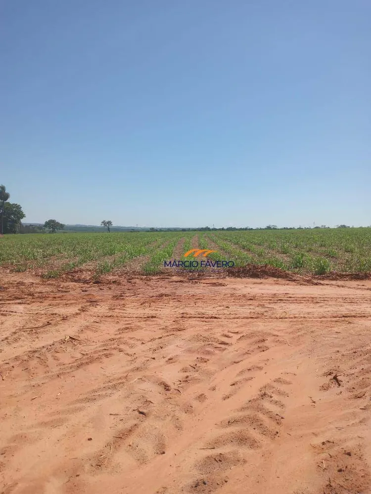 Fazenda, 385 hectares - Foto 10