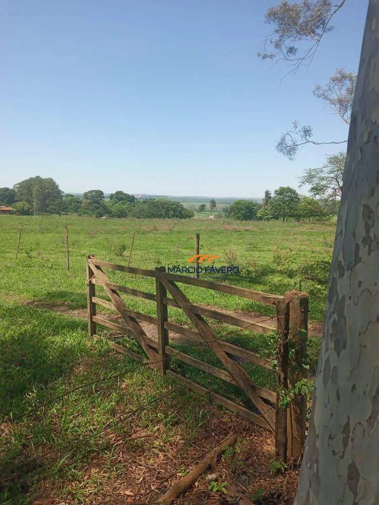 Fazenda, 385 hectares - Foto 11