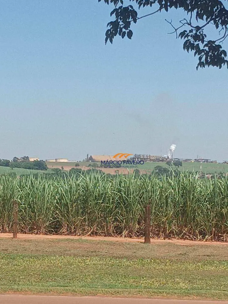 Fazenda, 385 hectares - Foto 1