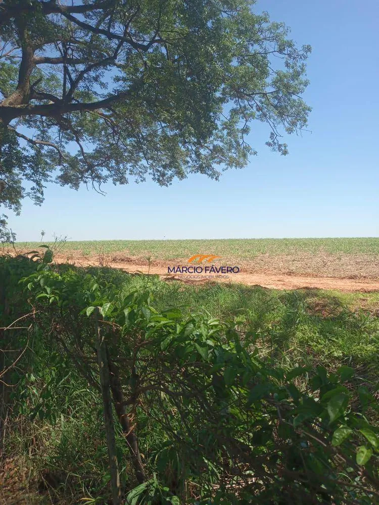 Fazenda, 385 hectares - Foto 9