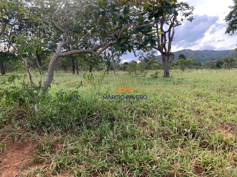 Fazenda, 212 hectares - Foto 8